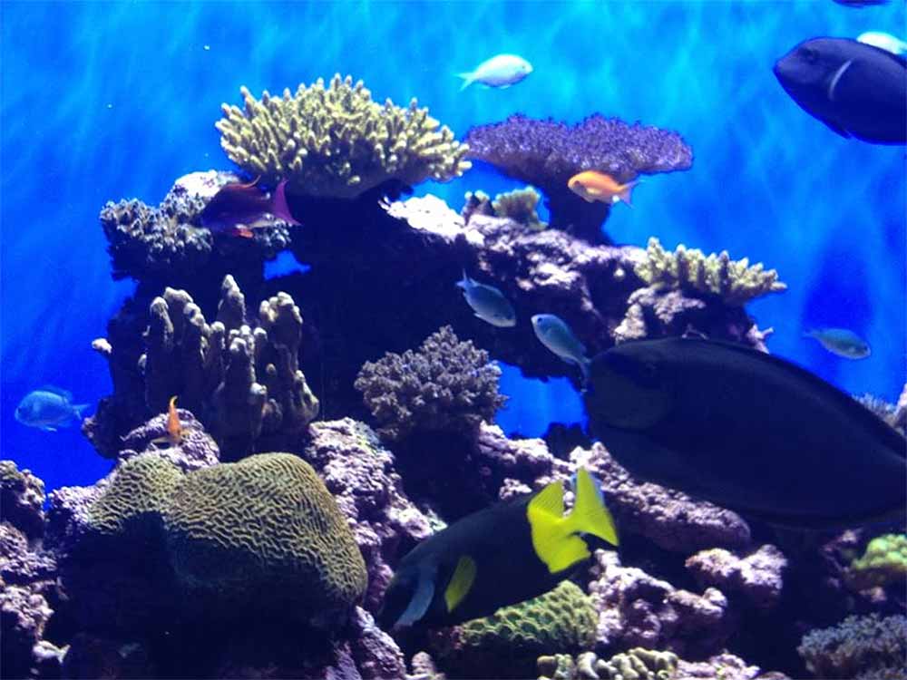 Beschreibungstext muss eingefügt werden